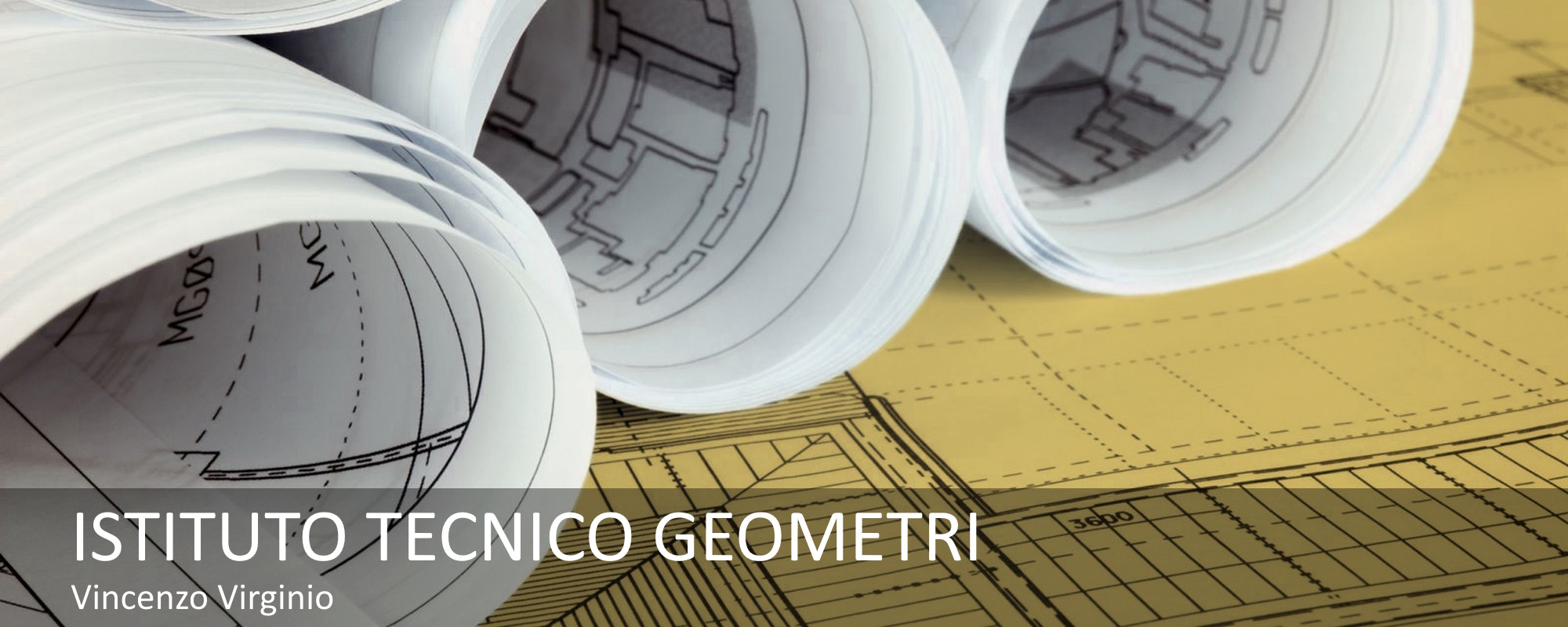 bianchivirginio_geo_slider2